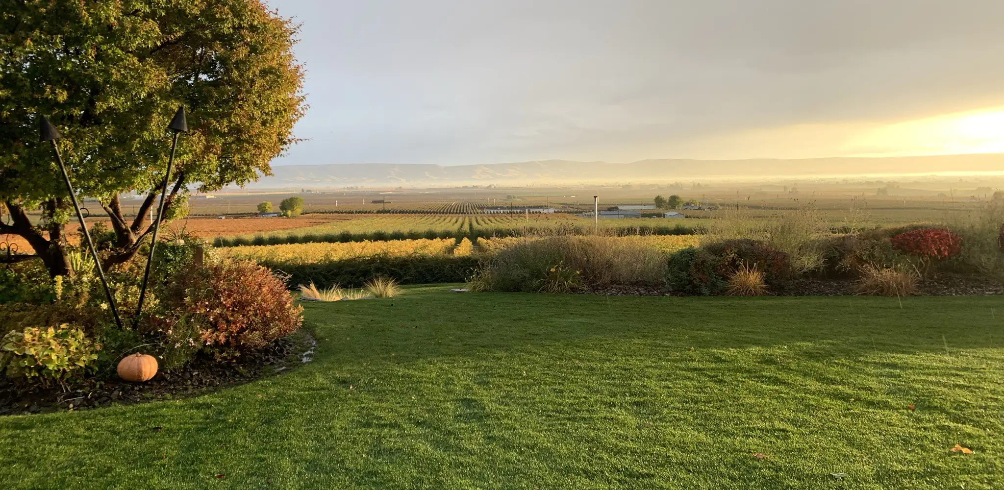 Vast green farm land